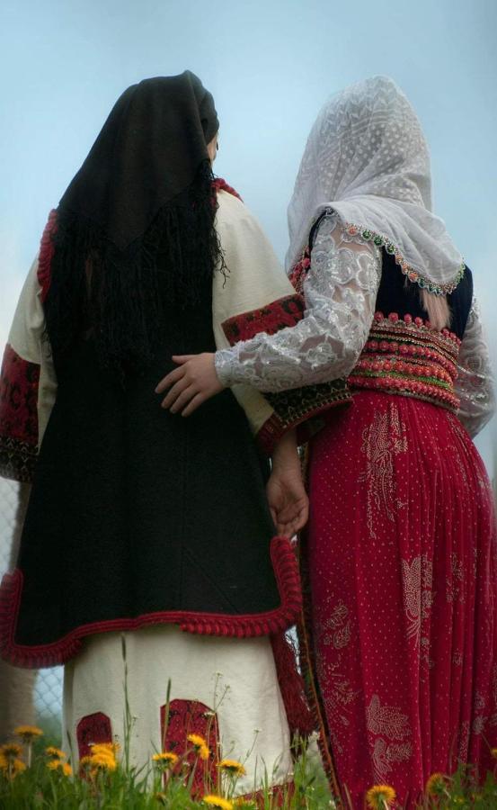 здравец *